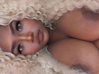 BarbieThiara Live Cam live cam chubby